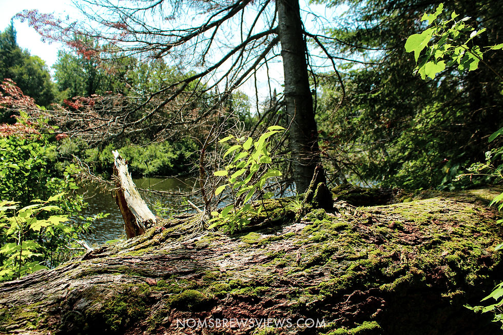 Top Things To Do at Tahquamenon Falls State Park