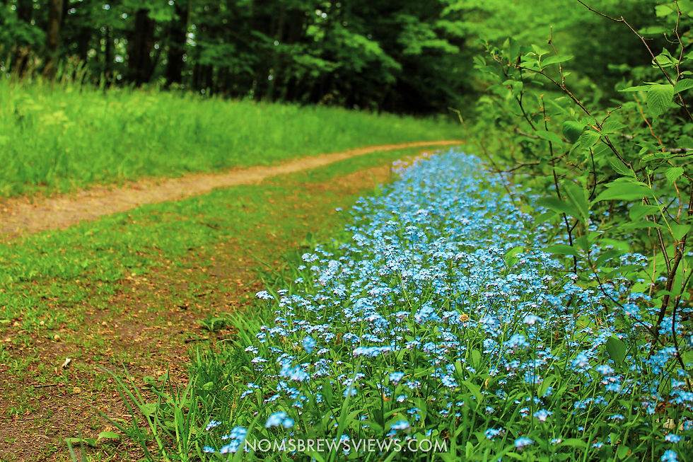 Top Things To Do at Sleeping Bear Dunes