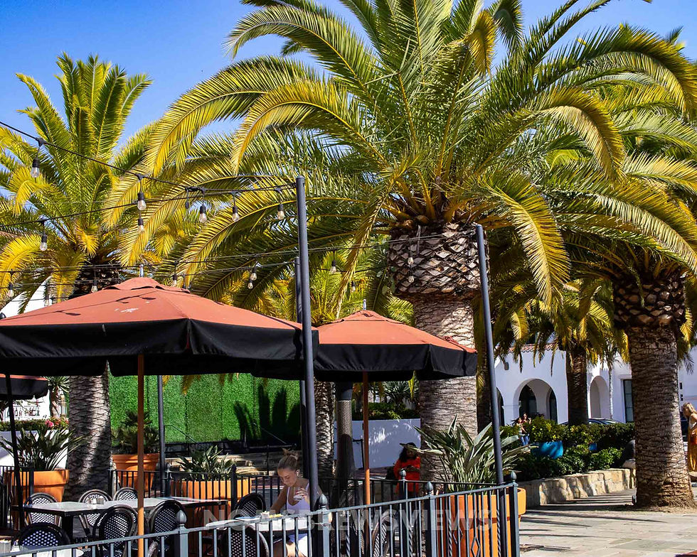 Outdoor cafe with black and orange umbrellas under palm trees. A person is seated at a table, sunny day with a relaxed mood.