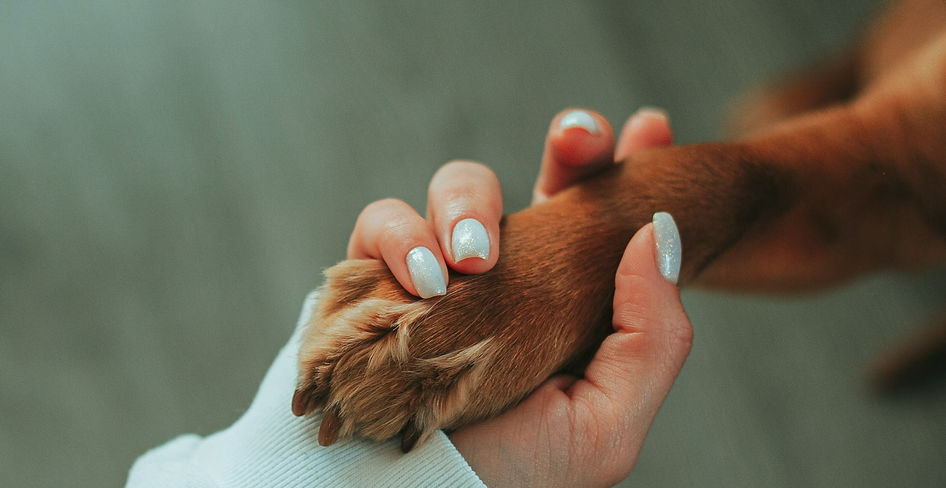 Holding Paw.jpg