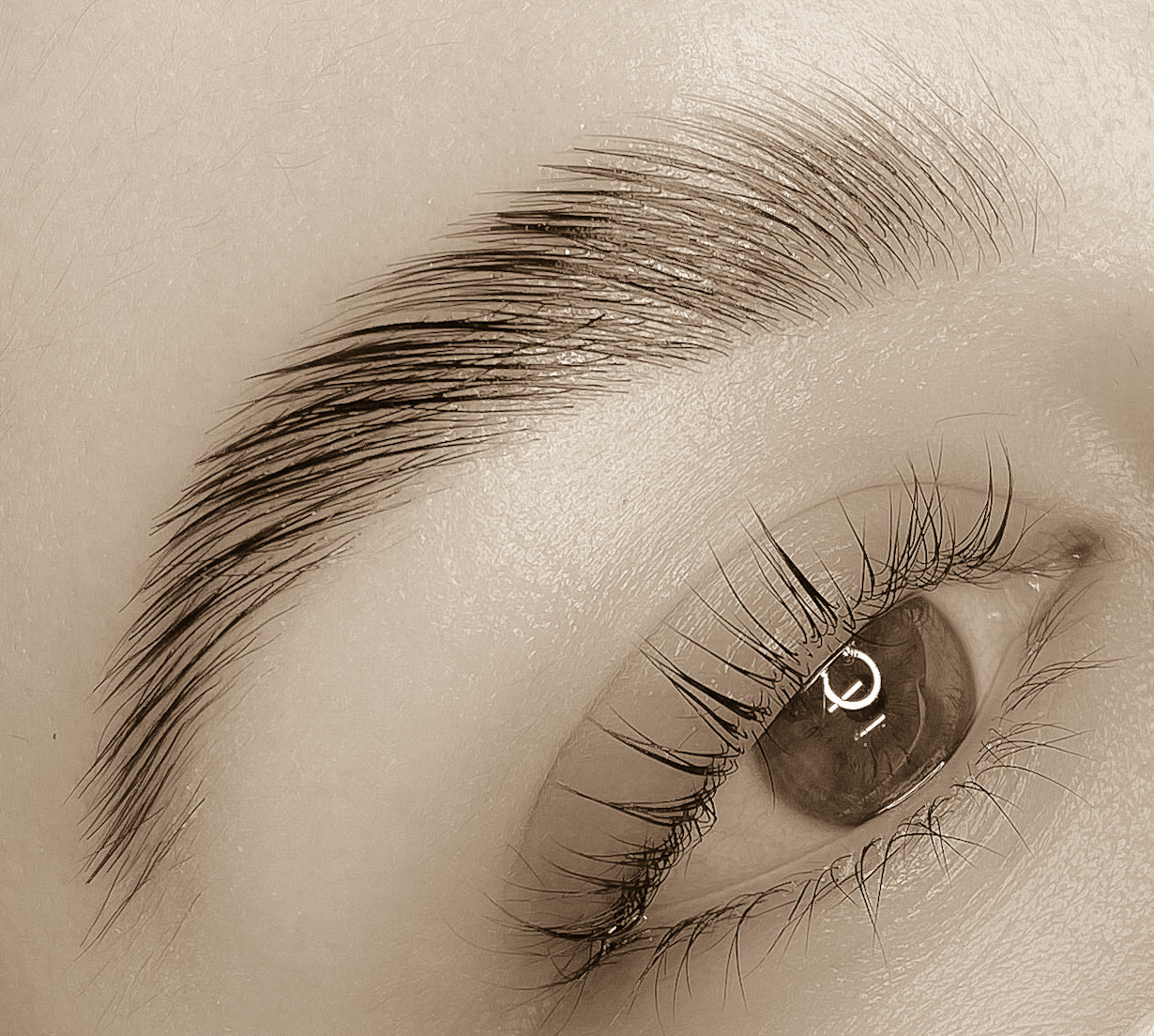 Pmu Brows Aftercare The Artistry