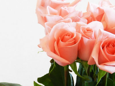 Mulher anulada sexualmente