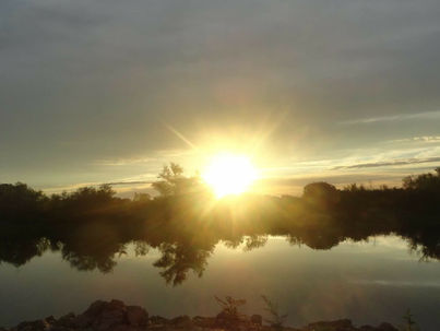 O que surge antes ?
Depressão x Disfunção sexual