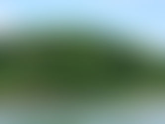 Ejaculação Retardada
Chego quase lá...