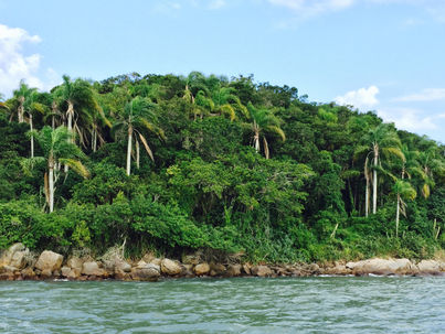 Ejaculação Retardada
Chego quase lá...