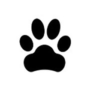 W Bruce Cameron logo