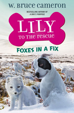 LILY TO THE RESCUE: FOXES IN A FIX