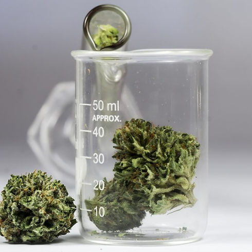 cannabis-science-1024x683 (2).jpg