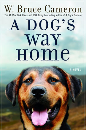 A DOG'S WAY HOME