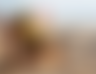 For the Love of Bees: Buzzing Towards a Greener Future!