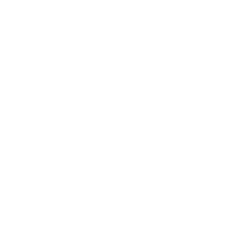 Swagg promo gifts logo (3).png