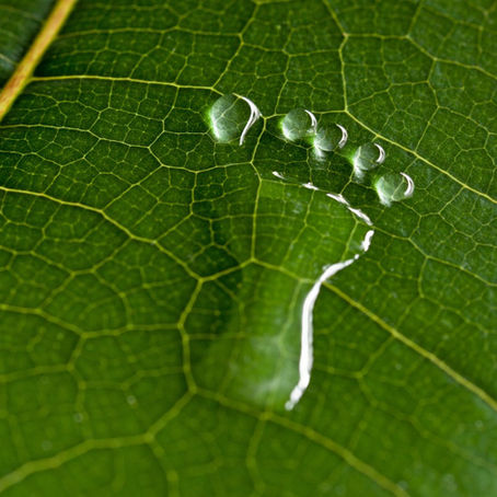 Navigating the Carbon Galaxy: Your Guide to Tackling Carbon Emissions and Becoming a Climate Hero