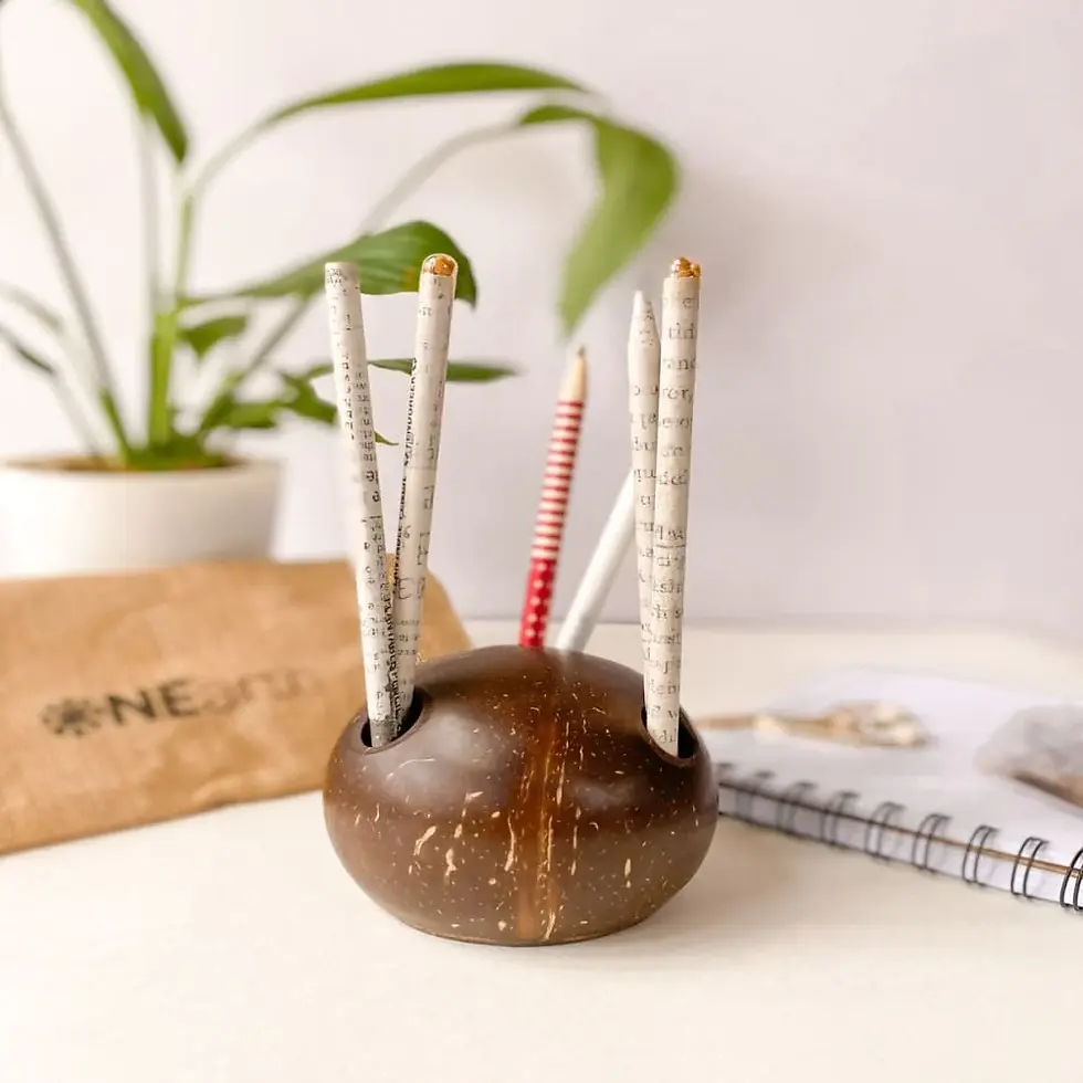 Coconut Shell Pen Stand