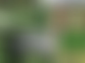 Cactus Leather: The Spiky Star of Sustainable Style 🌵