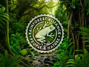 🐸Follow the Frog: Why Rainforest Alliance Certified™ Is the Real Green Deal