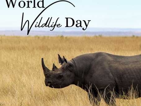 Celebrate World Wildlife Day: March 3rd 🌍🐾