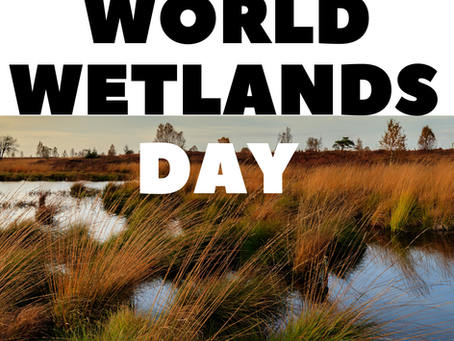 World Wetlands Day 2025: Protecting Our Common Future