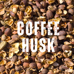 Coffee Husk