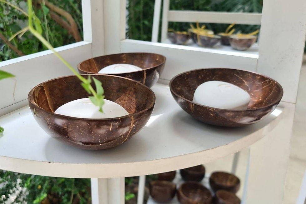 Coconut shell soap dish