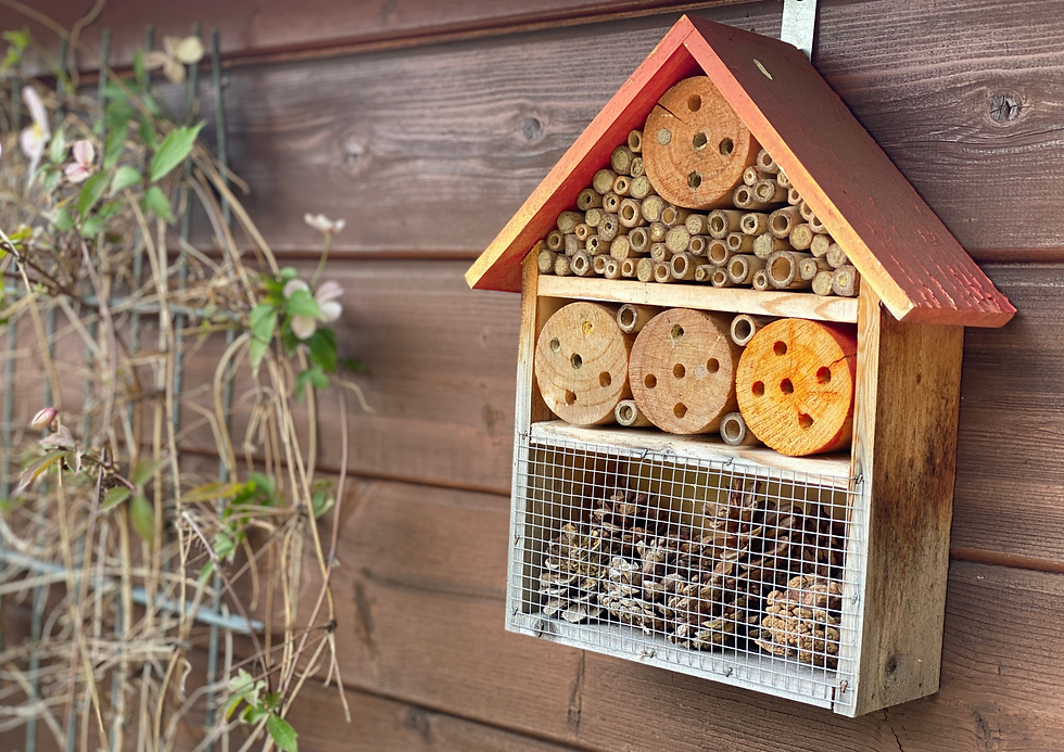 🐝 Build a Bee Hotel: Because Even Bees Deserve a Vacation! 🌸