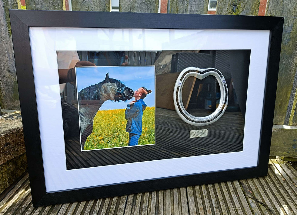 Framed horseshoe with A5 photo from