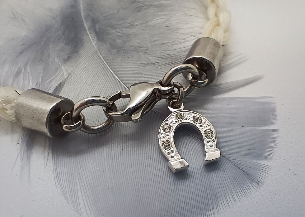 Sterling silver Swarovski crystal horseshoe charm