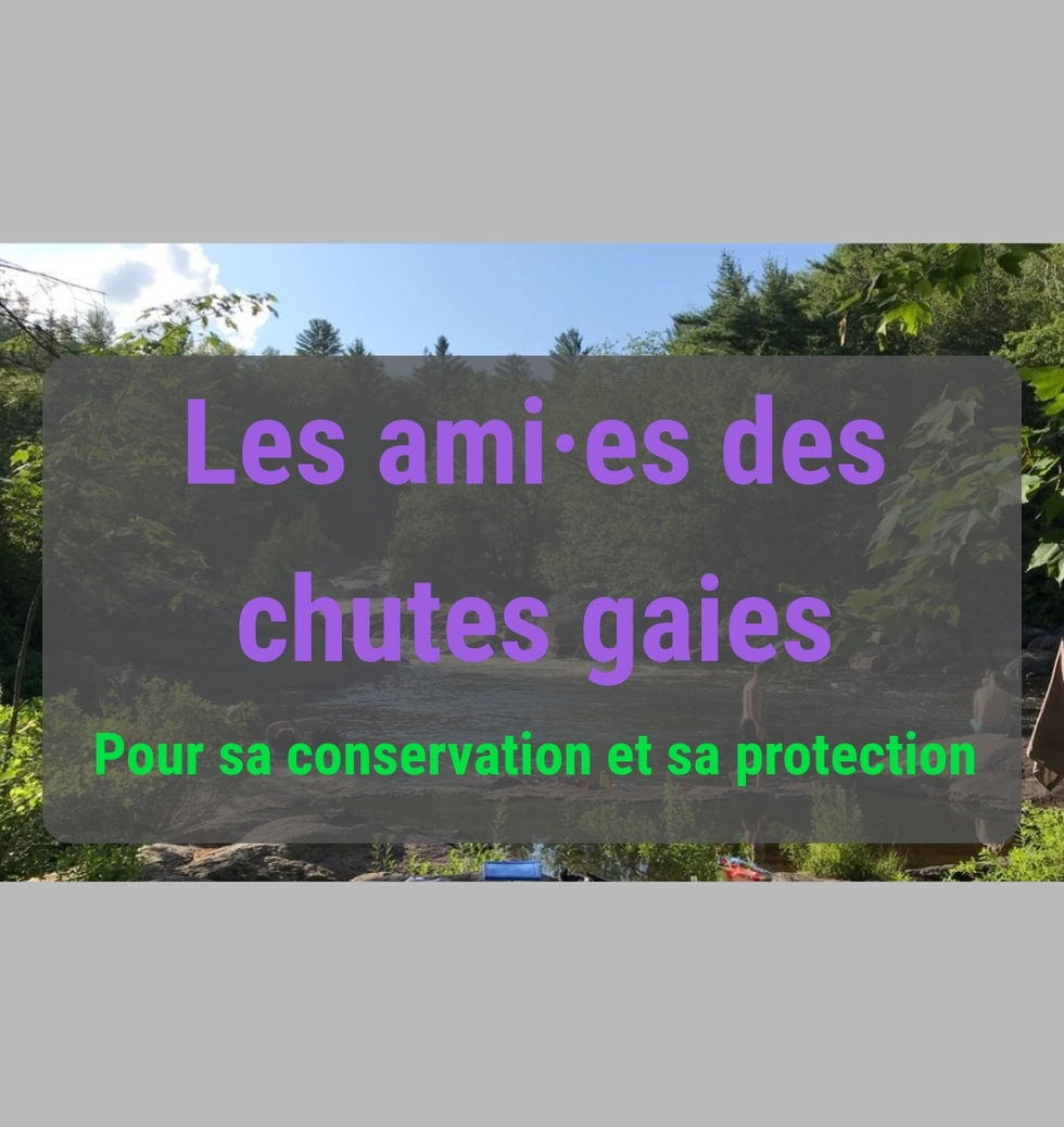 Screenshot_20230216_164615