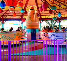 Kristen Vandevender Disney Certified Travel Agent Teacups.jpg