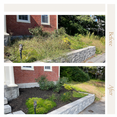 Garden design Maine
Landscape design Southern Maine
Garden installation Maine
Garden maintenance services Maine
Southern Maine gardening experts
Landscape architects Southern Maine
Maine garden landscaping
Southern Maine garden care
Professional gardeners Maine
Garden renovation services Maine
Southern Maine outdoor space design
Southern Maine garden planning
Sustainable gardening Maine
Southern Maine garden makeover
Seasonal garden maintenance Maine
Custom garden designs Southern Maine
Southern Maine landscape construction
Organic garden care Maine
Southern Maine gardener
Southern Maine residential landscaping
Saco Maine gardener
Saco Maine gardening company
Pollinator gardens
Butterfly gardens Maine
Native plant gardening
Maine vegetable garden
Sustainable landscape development
Organic gardening Maine
IPM Integrated Pest Management