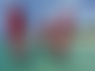 セイルナンバー変更しました!