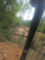 View from an excavator cab across a wooded work area.