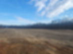 Open cleared ground with a broad tree line and blue sky.