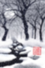 Moon Light on Snow