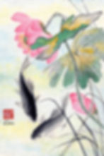 Koi and Lotus Flowers
