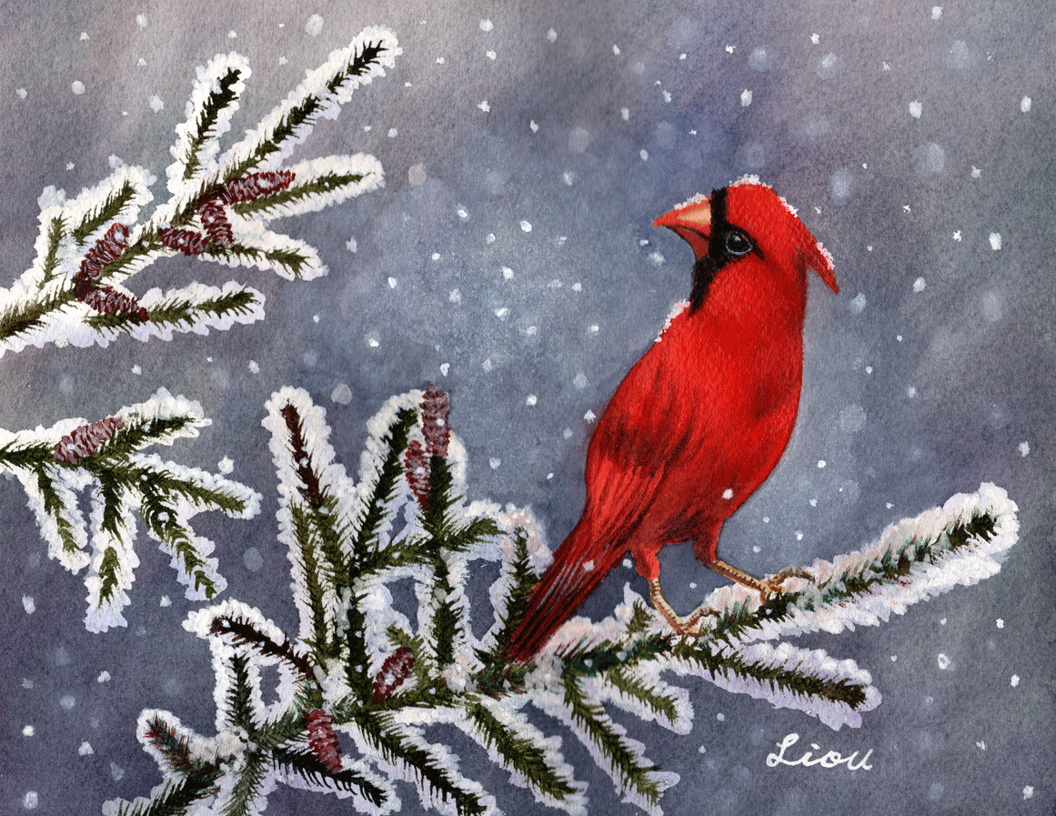 Cardinal Bird in Snow