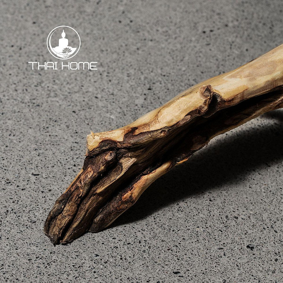 Thumbnail: Teak Root Coffee Table
