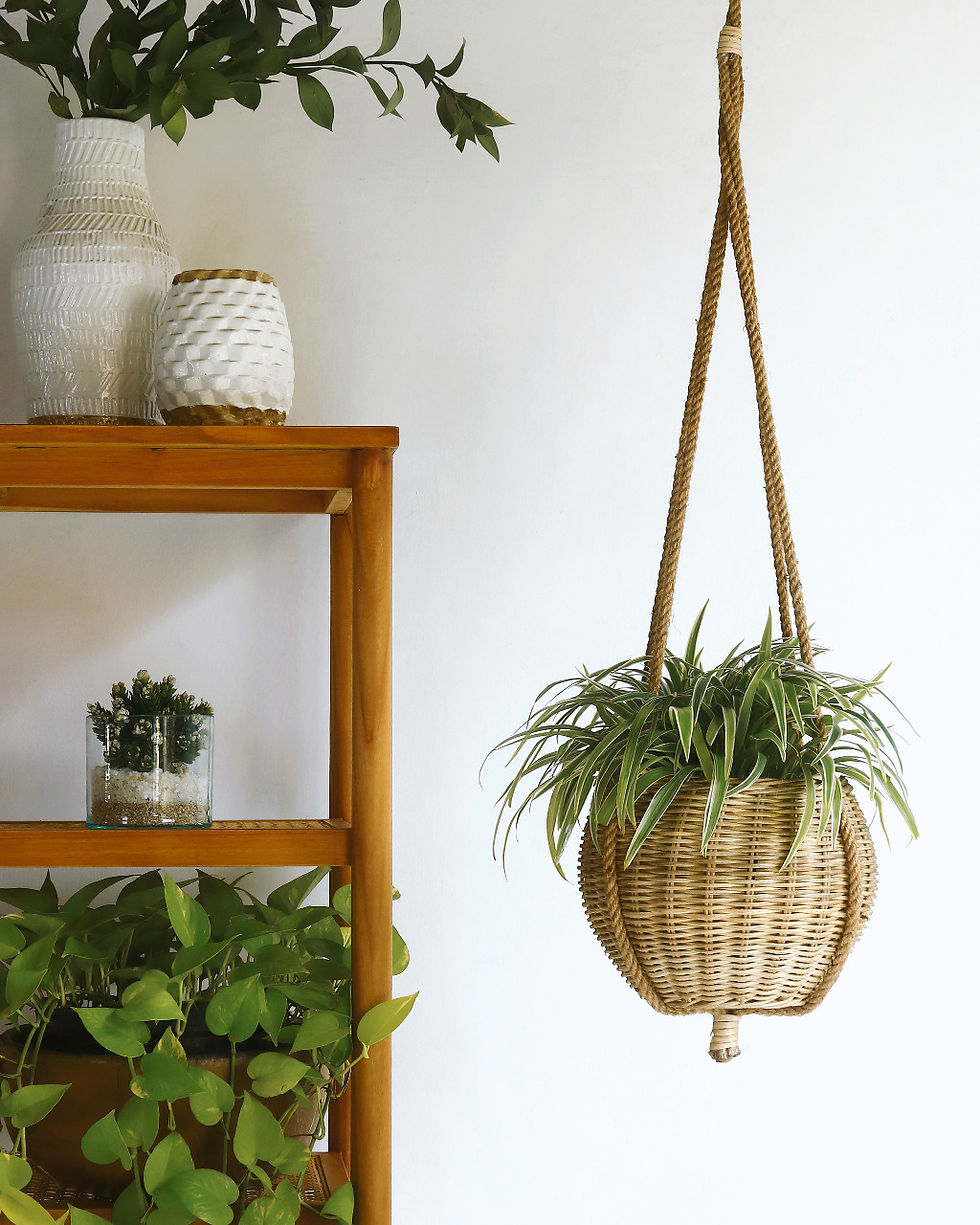 Olga Flower Hanging
