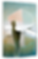 2005 Petit Matin 124x83x15cm