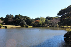 Shinjuku Gyoen National Garden