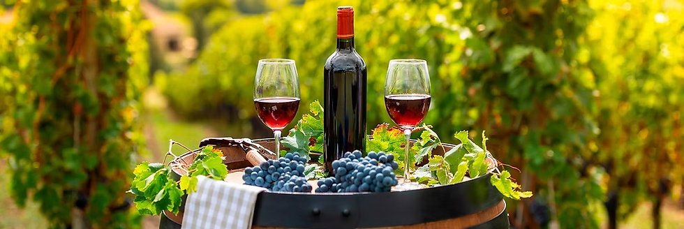 wine and grapes on barrel in vineyard