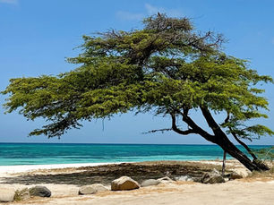 Aruba beach