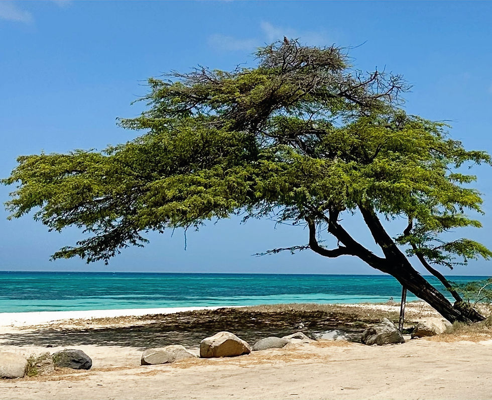 Aruba beach