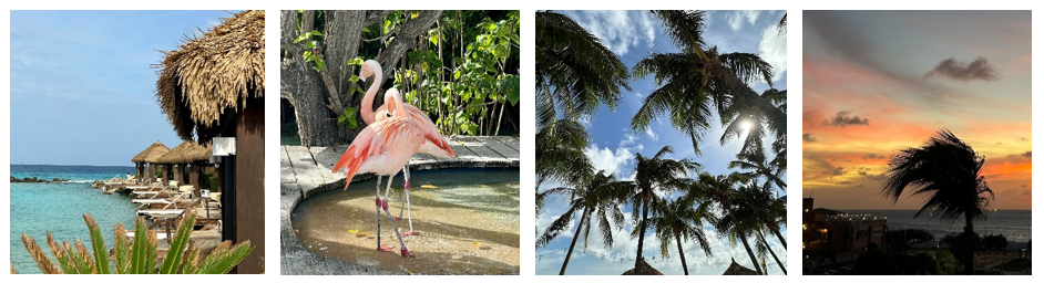 Aruba - beach flamingos