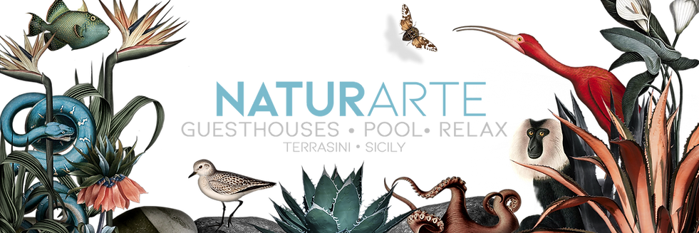 Naturarte Guesthouse banner_edited.png