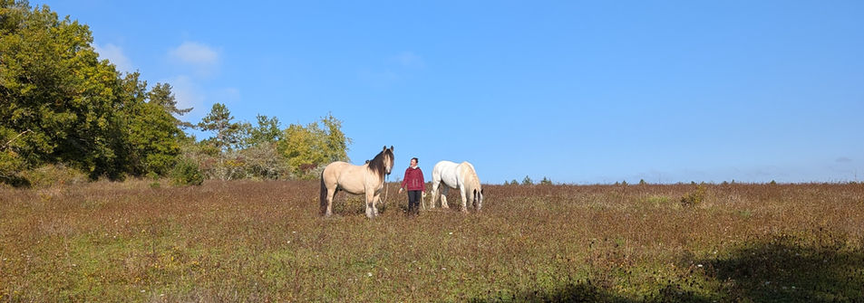 balade chevaux nature espace détente