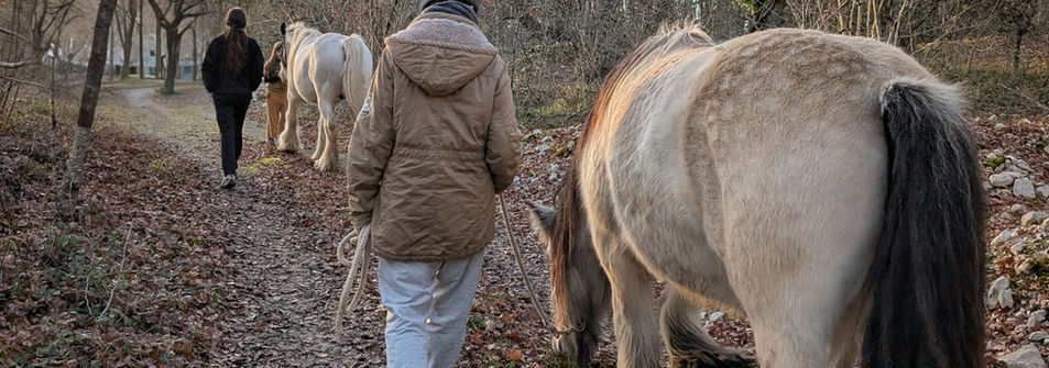 balade chevaux nature espace détente