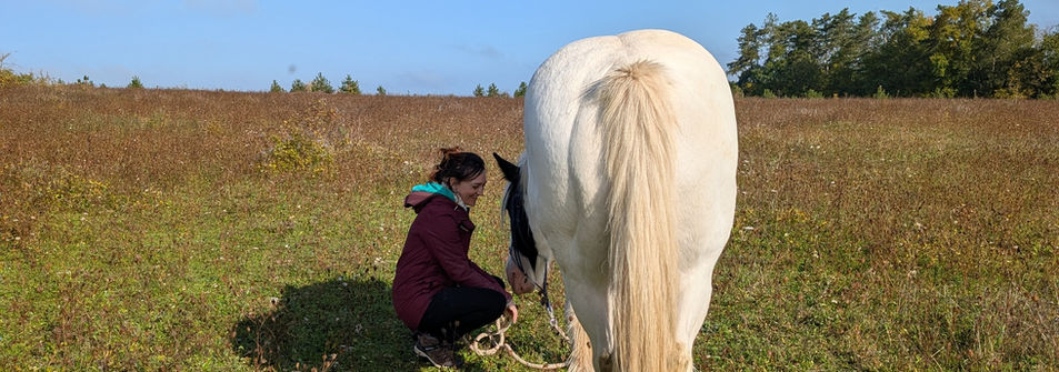 balade chevaux nature espace détente
