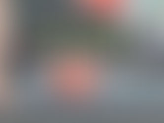 筋膜とは：基本概念と機能