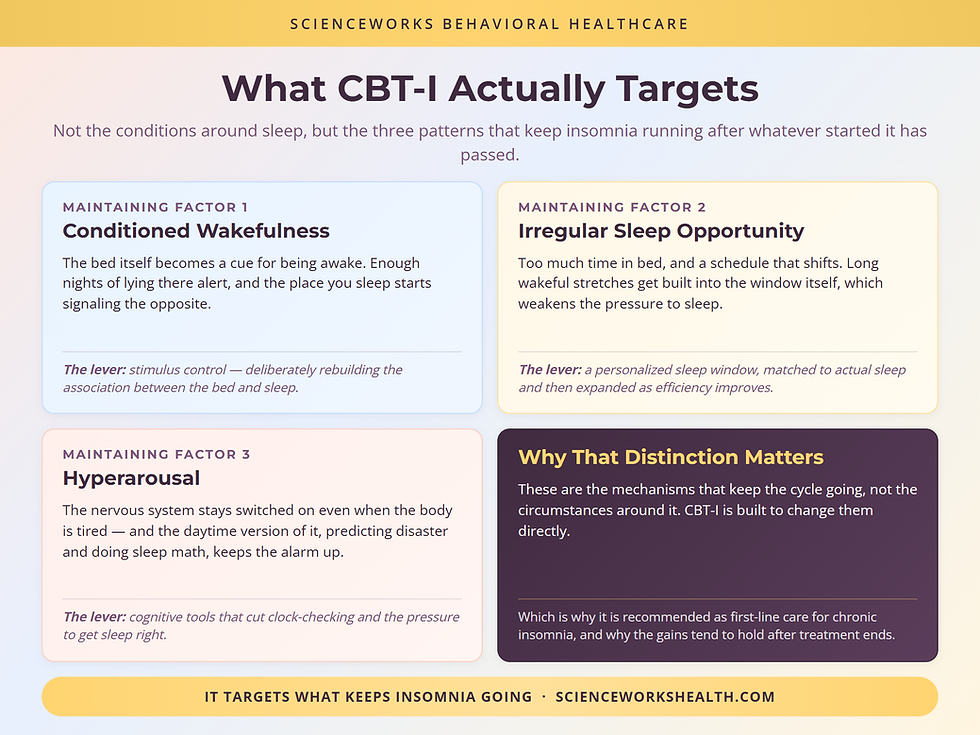 The three maintaining factors CBT-I targets, each paired with the treatment lever that addresses it