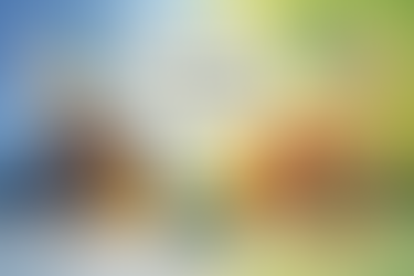 ERP or I-CBT for OCD: How to Choose a Starting Point for OCD Therapy